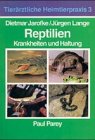 Tierärztliche Heimtierpraxis, Bd.3 : Reptilien